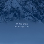 We Will Oppose You - Single