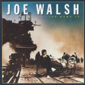 Joe Walsh - The Worry Song