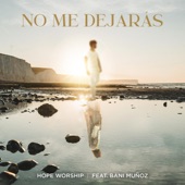 No Me Dejarás (feat. Bani Muñoz) artwork