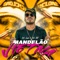 Mandelão Vietnã (feat. MC Lan & Mc Rd) - DJ LUKAS DA ZS lyrics