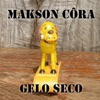 Gelo Seco