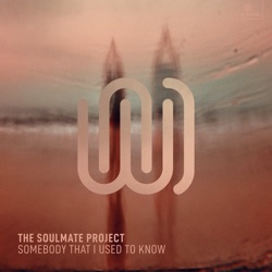 The Soulmate Project - Somebody That I Used to Know