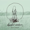 Hopeful Wanderers - Single