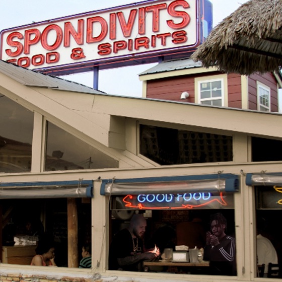 Cover artwork for Spondivits