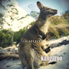Kangaroo (Radio Edit) - Leo Aberer