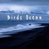Birds Ocean artwork