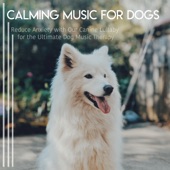 Calming Music for Dogs: Reduce Anxiety with Our Canine Lullaby for the Ultimate Dog Music Therapy artwork