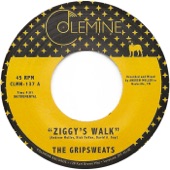 Ziggy's Walk artwork
