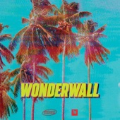 Teemid - Wonderwall