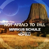 Not Afraid to Fall (The Wlt Remix) artwork