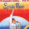 15 Grandes Éxitos Vol 2 (Acústico)
