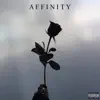 Affinity - Single album lyrics, reviews, download
