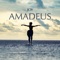 Rock Me Amadeus - Amadeus lyrics