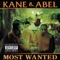 Show Dat Work (Shake It Like A Dog), Pt. 2 - Kane & Abel lyrics