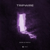 Tripwire artwork