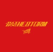 In the Storm - Single