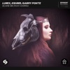 LUM!X & Gabry Ponte - Scare Me (feat. Karra)