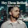 Hey There Delilah (Madism Remix) song lyrics