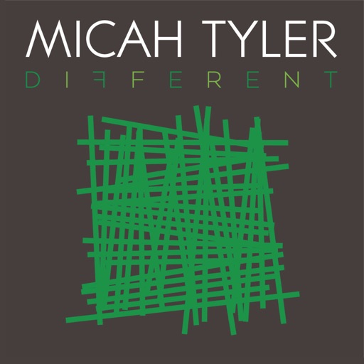 Art for Never Been A Moment by Micah Tyler