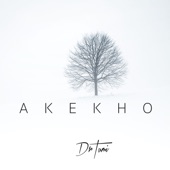 Akekho artwork