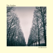 The Feelies - In Between