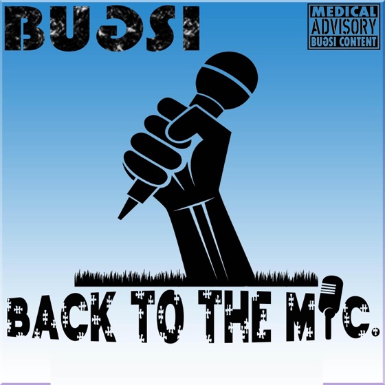 Cover artwork for Back to the Mic.