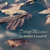 Dokuz Mevsim (Akustik) artwork