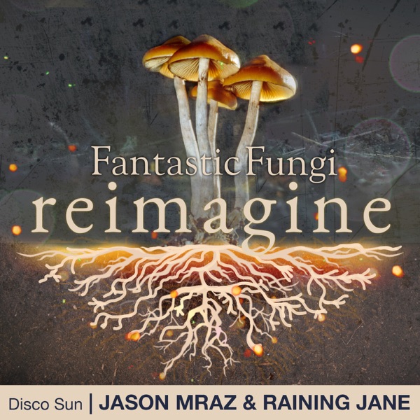Disco Sun (Fantastic Fungi: Reimagine) - Single - Jason Mraz & Raining Jane