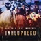 Inhlupheko (feat. Mduduzi) - Big Zulu lyrics