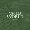 Wild World (Acoustic) - Single album lyrics, reviews, download