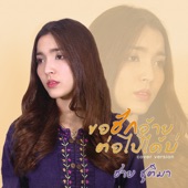 ขอฮักอ้ายต่อไปได้บ่ (Cover) artwork