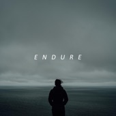 Endure - EP artwork