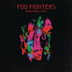 WASTING LIGHT cover art