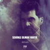 Seninle Olmak Varya - Single