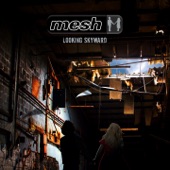 Mesh - Kill Your Darlings