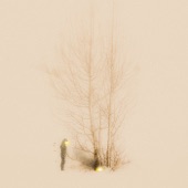 Dirt Around the Tree (feat. Brandi Carlile) artwork