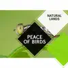 Peace of Birds - Natural Lands album lyrics, reviews, download