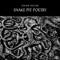 Snake Pit Poetry - Einar Selvik lyrics