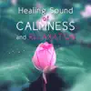 Healing Sound of Calmness and Relaxation: Zen Garden, New Age Music, Deep Sleep, Natural Tracks, Chakra Balancing, Yin Yang, Welness, Meditation, Prayer album lyrics, reviews, download