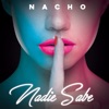 Nadie Sabe - Single