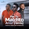 Por Tu Maldito Amor (Remix) [feat. Yosdual] - Single