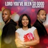 Lord You've Been So Good (feat. Lonnie Edwards & Chuck Everett) - Single