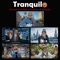 Tranquilo artwork