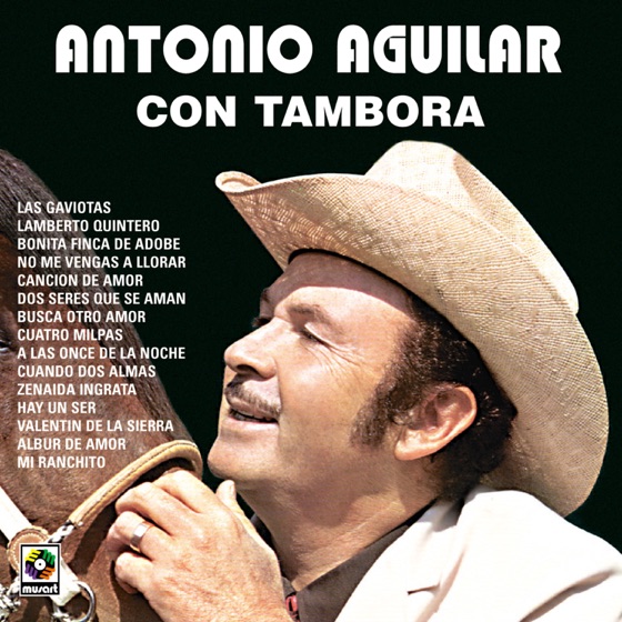 Cover artwork for Las Gaviotas