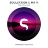 Soulvation - Free Your Mind