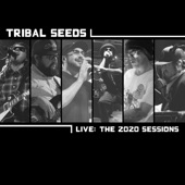 Tribal Seeds - Blood Clot (Live)