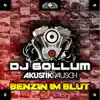 Benzin im Blut (feat. Akustikrausch) album lyrics, reviews, download