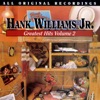 Hank Williams, Jr.: Greatest Hits, Vol. 2 artwork