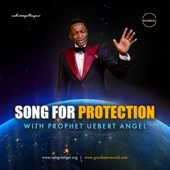 Song For Protection artwork