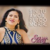 Sulma Curro Aliona - Sin Tu Amor Puedo Morir